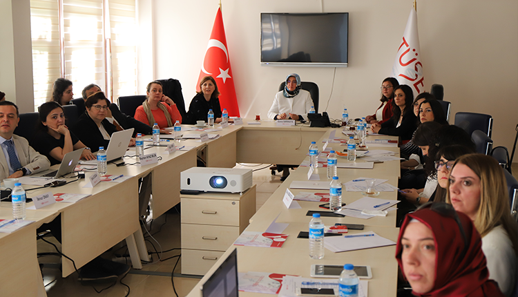   Anne Ruh Sağlığı ve Peripartum Depresyon Çalıştayı gerçekleştirildi.