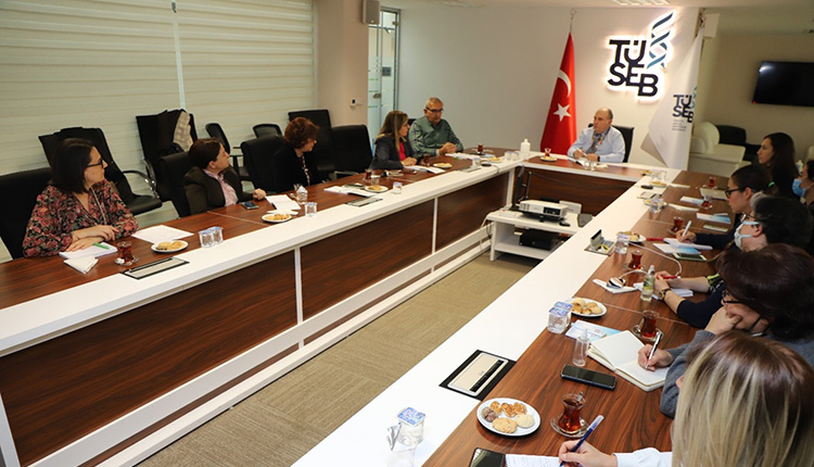   “Ergen Sağlığına Yönelik Olarak Aktivite, Eğitim ve Eğitim Materyallerinin Oluşturulması” Ön Değerlendirme Toplantısı