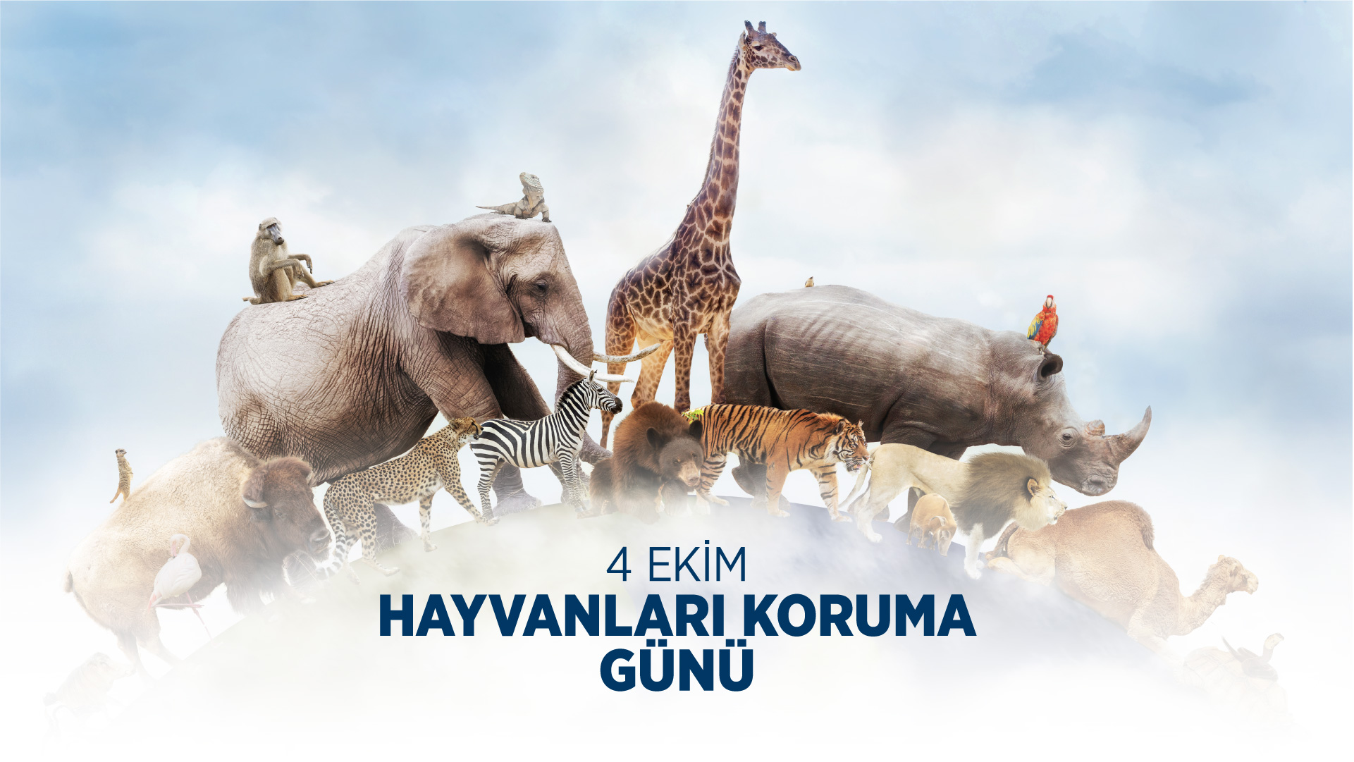   Hayvanları Koruma Günü (04 Ekim 2023)
