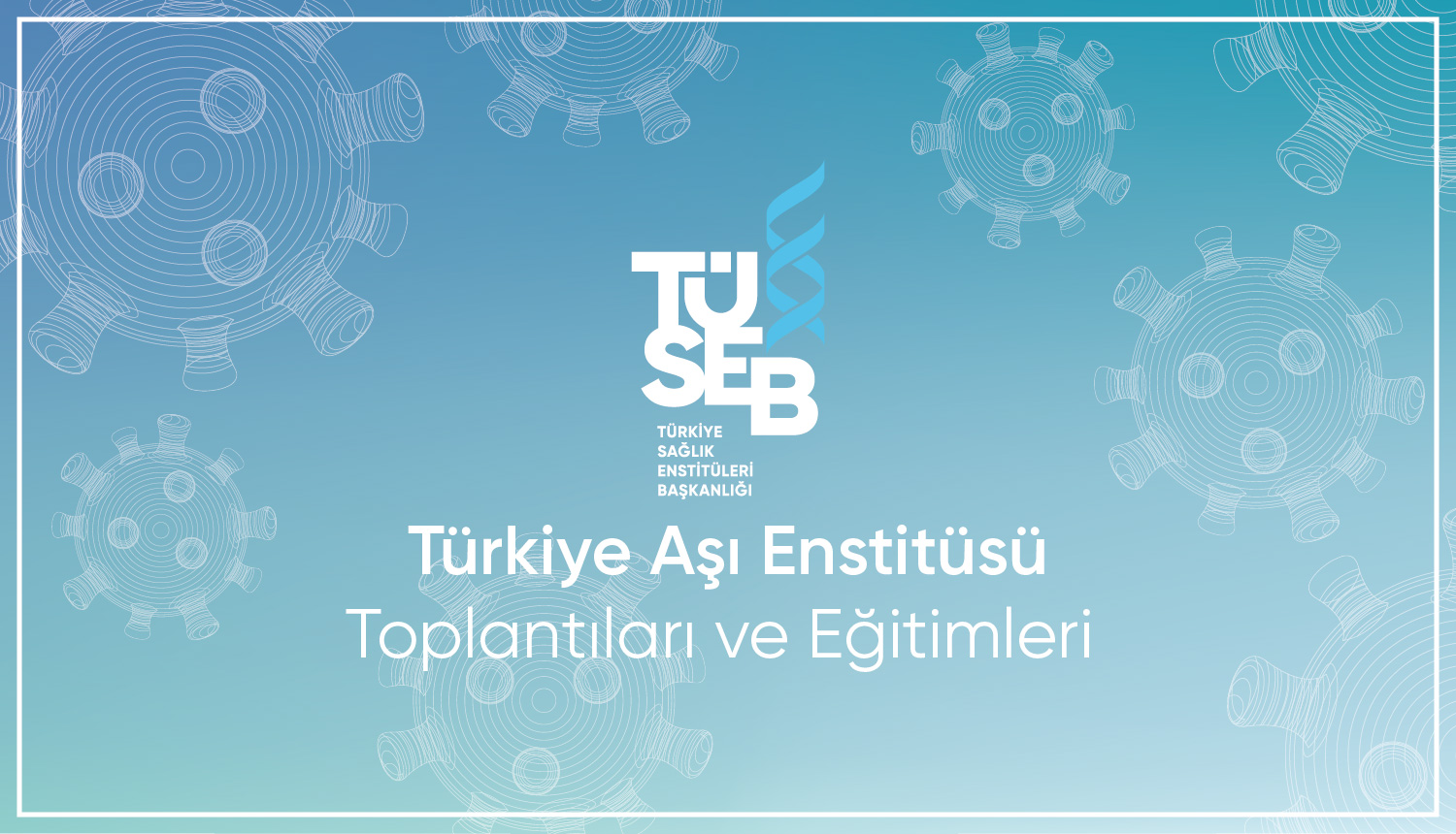 TÜSEB Türkiye Aşı Enstitüsü Toplantıları ve Eğitimleri