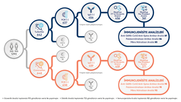 Sağlıklı Gönüllülerde İki Doz İnaktif COVID-19 Aşısına (TURKOVAC) Karşı İki Doz CoronaVac (Sinovac) Aşısının Etkililiğinin, İmmünojenisitesinin ve Güvenliliğinin Değerlendirildiği, Randomize, Gözlemci Kör Faz III Klinik Çalışma