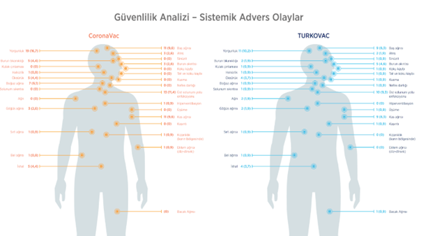Sağlıklı Gönüllülerde İki Doz İnaktif COVID-19 Aşısına (TURKOVAC) Karşı İki Doz CoronaVac (Sinovac) Aşısının Etkililiğinin, İmmünojenisitesinin ve Güvenliliğinin Değerlendirildiği, Randomize, Gözlemci Kör Faz III Klinik Çalışma