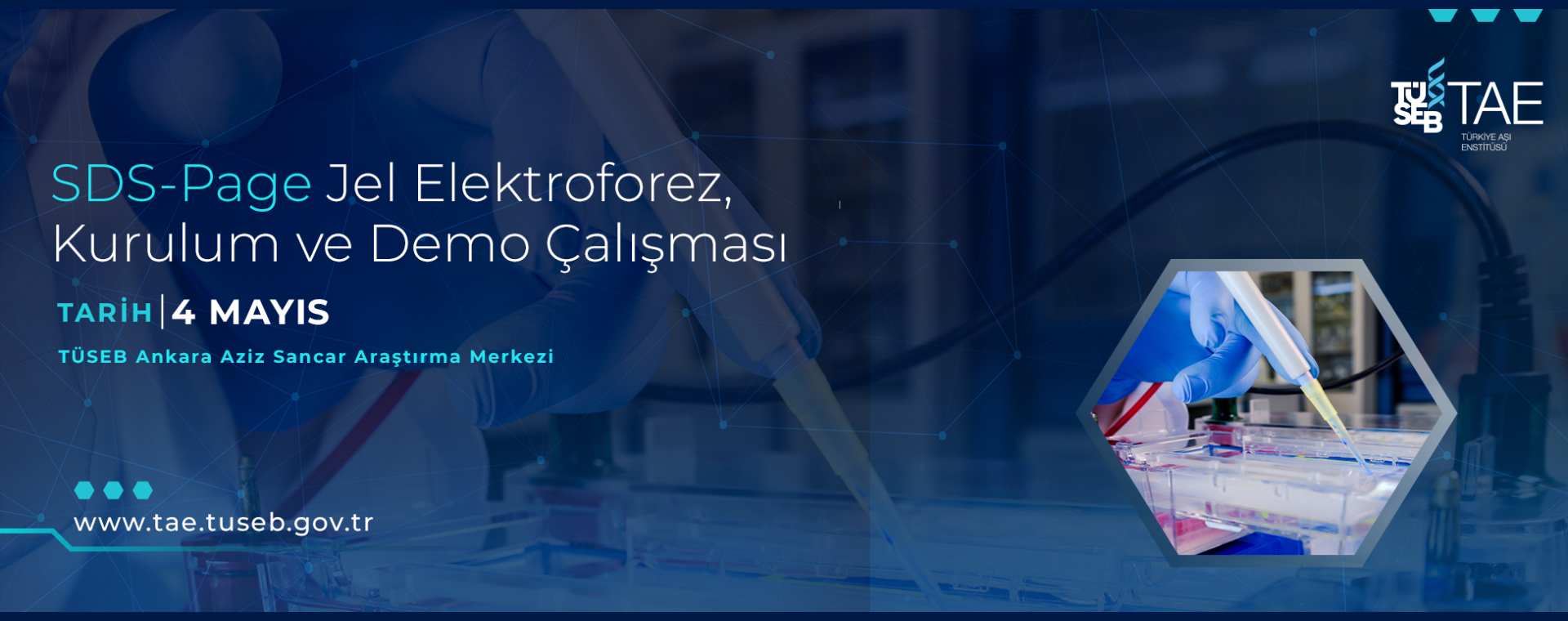 SDS-Page Jel Elektroforez,Kurulum ve Demo Çalışması