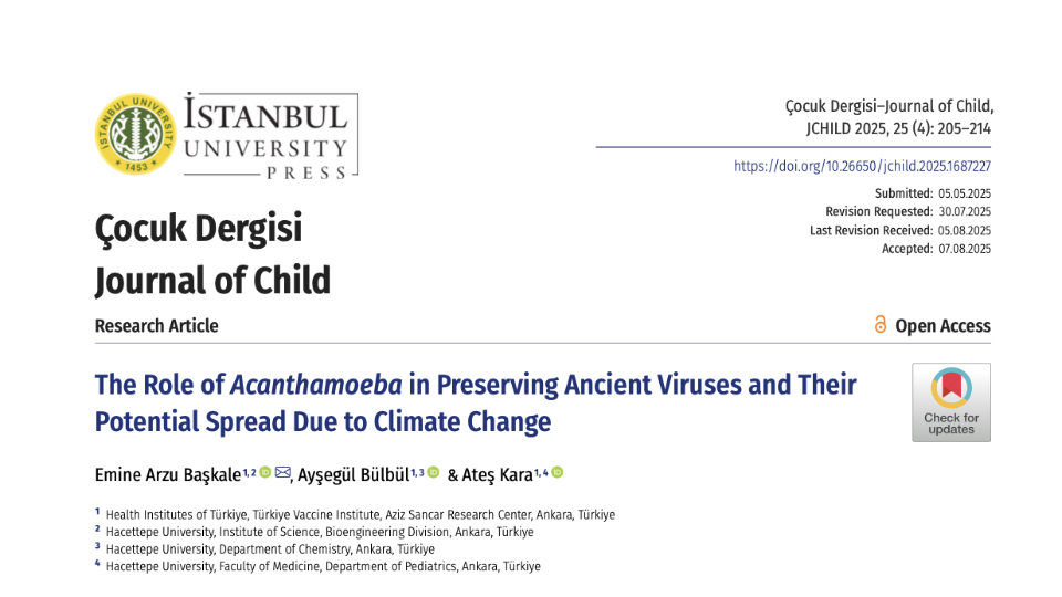 The Role of Acanthamoeba in Preserving Ancient Viruses and Their Potential Spread Due to Climate Change