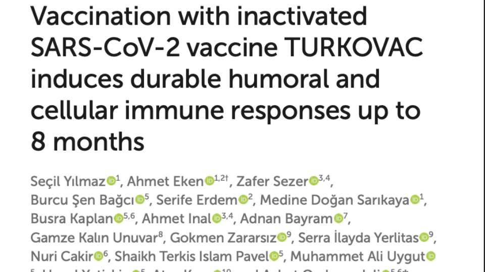 Vaccination with inactivated SARS-CoV-2 vaccine TURKOVAC induces durable humoral and cellular immune responses up to 8 months