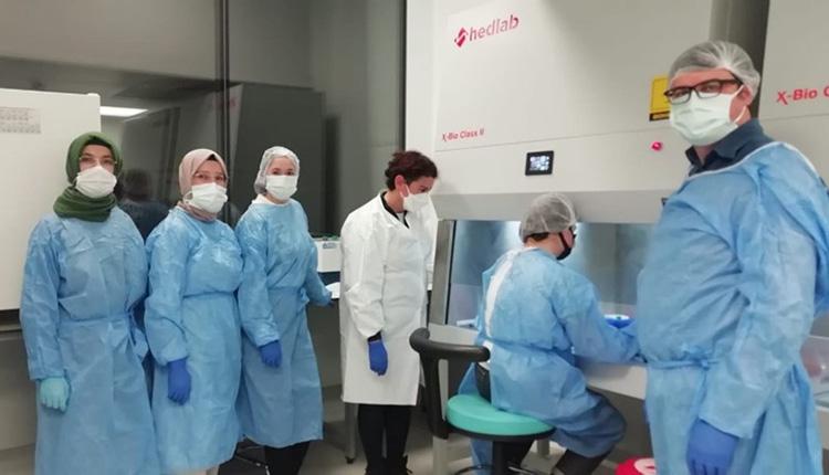 BİYAŞAM Training Series – ‘Applied Cell Culture Training’