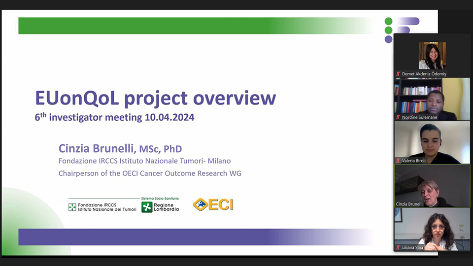 EUonQoL Project Online Meeting