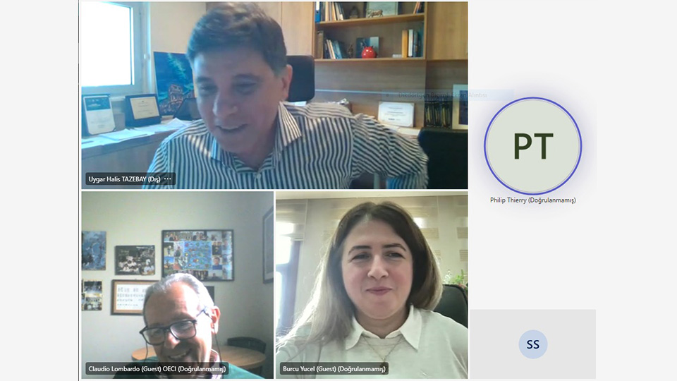 Organisation Of European Cancer Institutes (OECI) And Türkiye Cancer Institute Online Meeting