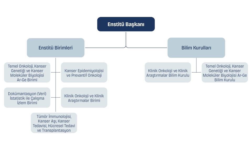 TKE Organizasyon Şeması