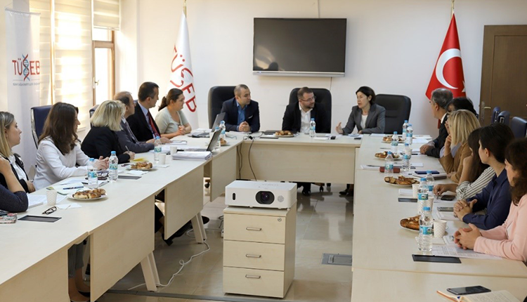 Diyabet Konusunda Ortak Çalışma Platformu Toplantı Raporu