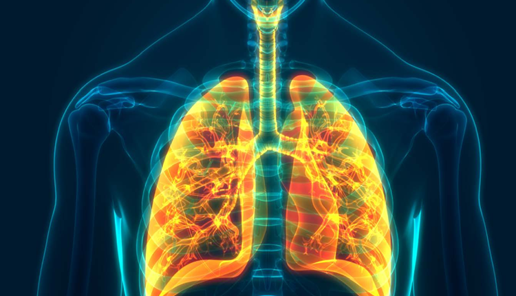 “Türkiye’de Kronik Obstrüktif Akciğer Hastalığının Yönetimi: Korunma, Tanı ve Tedavi Standartları Kılavuzu” yayınlandı.