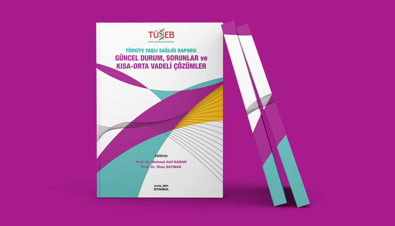 Yaşlı Sağlığı Raporu: Güncel Durum, Sorunlar, Kısa ve Orta Vadeli Çözümler