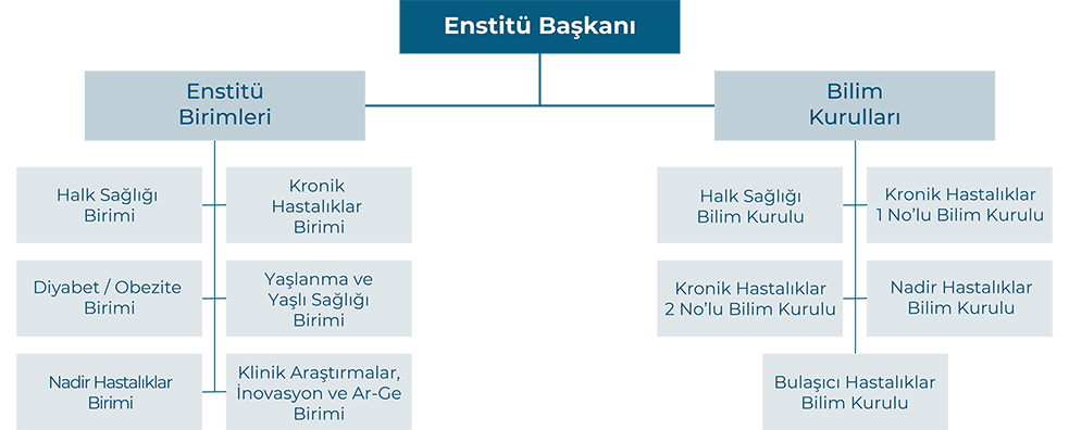 TÜHKE Teşkilat Şeması