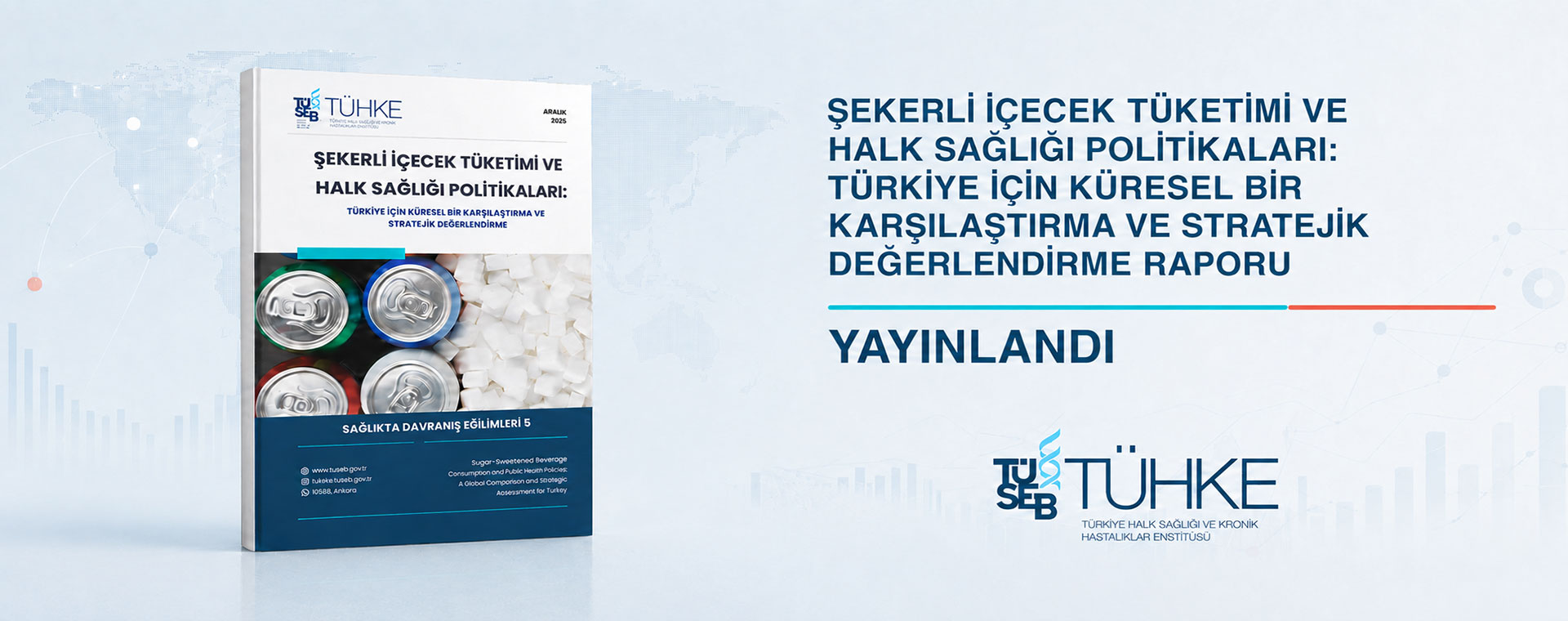Şekerli İçecek Tüketimi ve Halk Sağlığı Politikaları: Türkiye İçin Küresel Bir Karşılaştırma ve Stratejik Değerlendirme Raporu Yayımlandı