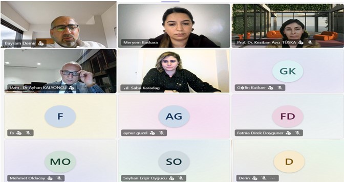 The Second Online Training on Quality and Accreditation Has Been Held  in the Turkish Republic of Northern Cyprus